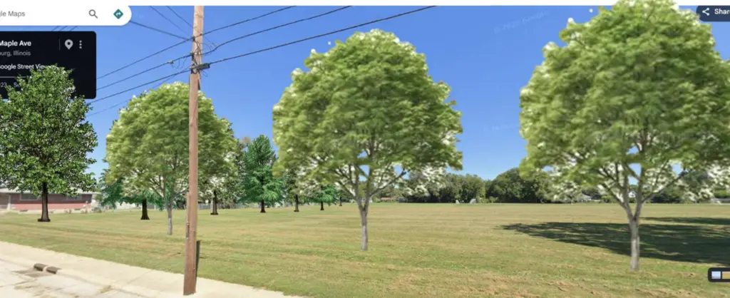 Rendering of planned tree plantings along Maple Avenue at the former Bateman School site in Galesburg, Illinois