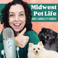 Summer hazards every pet owner needs to know about episode artwork