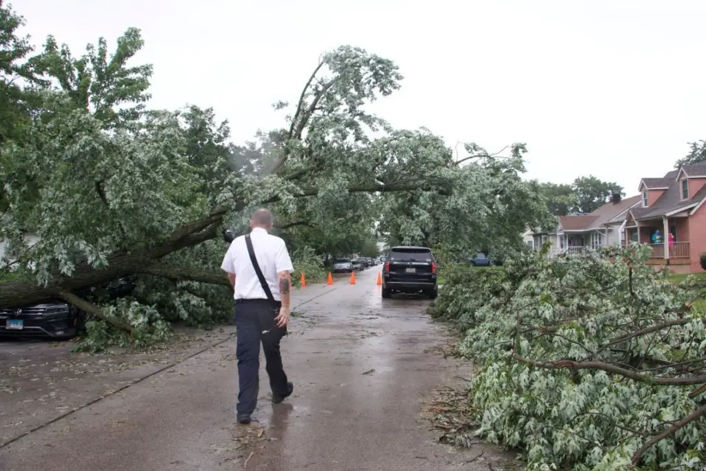 Downed tree blocking a residential street after storm damage in Lansing, Illinois