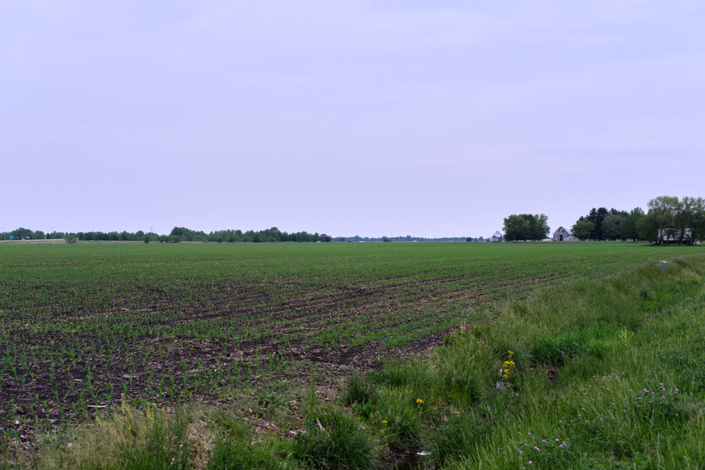 New Berlin, Illinois - farmland field in May, 2023 (Credit: Trent R Nelson)