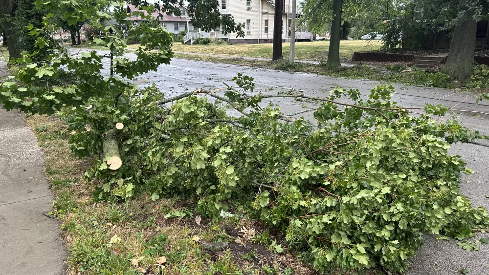 Tree down as a result of June 29 2023 storm in Springfield (Credit: Trent R Nelson)