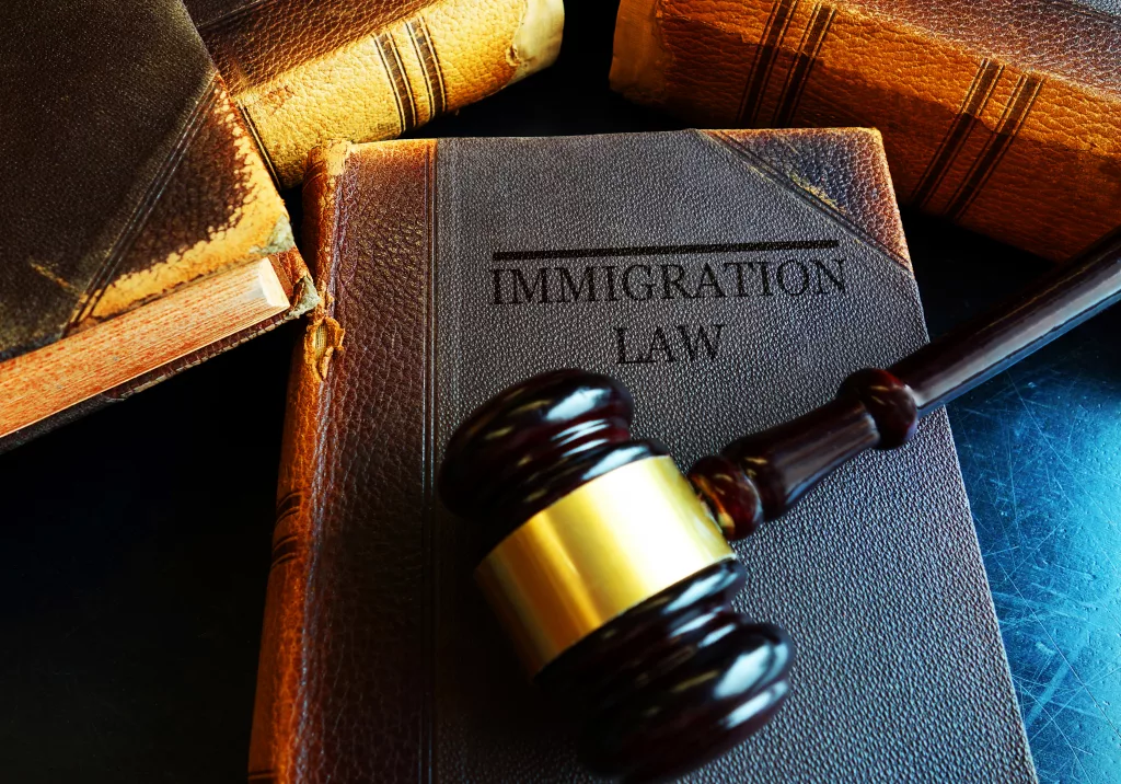 immigration-law-concept