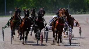 Illinois State Fair announces harness racing for August 8