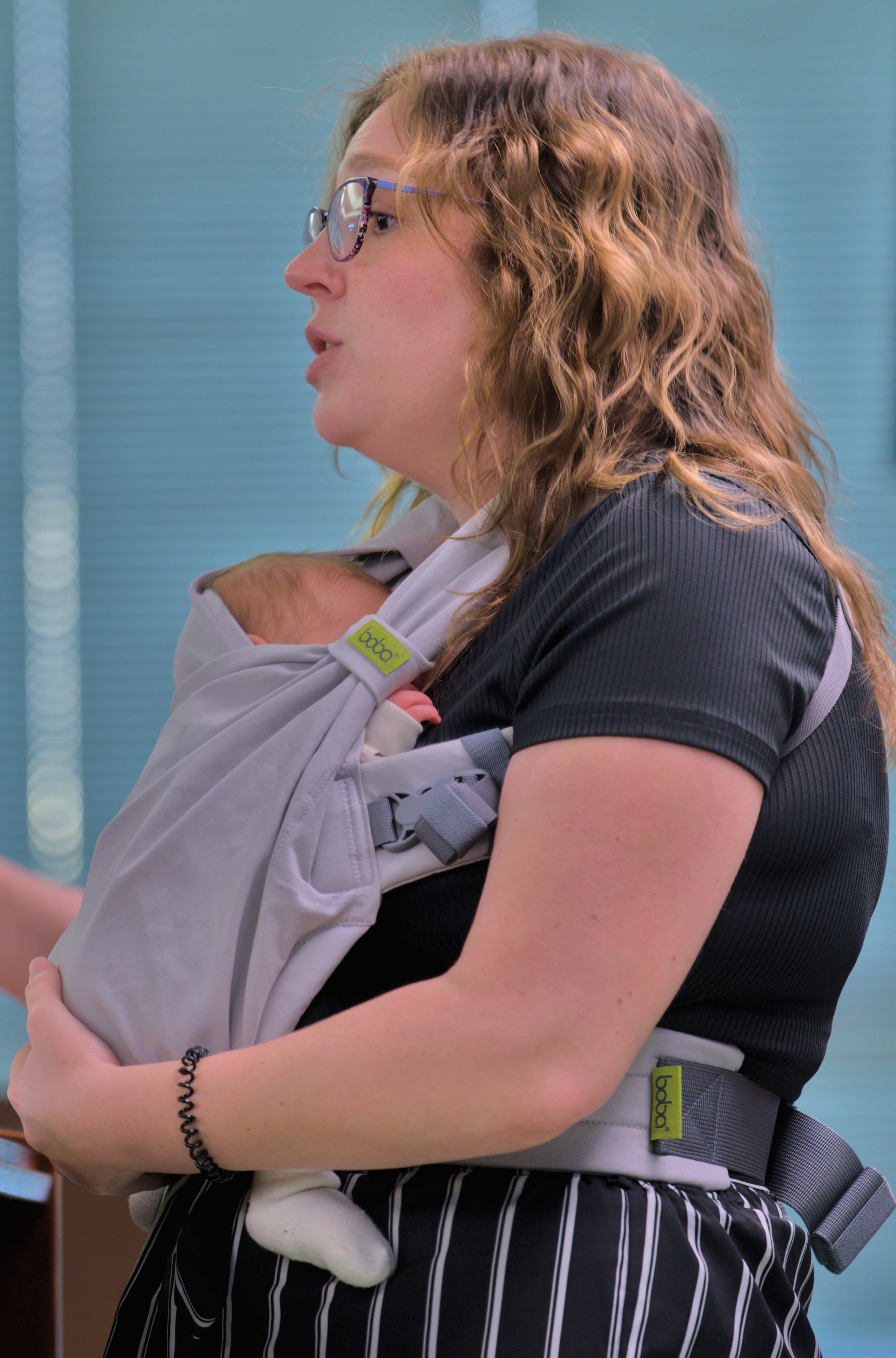 Springfield City Council, March 18, 2025