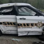 West Frankfort man steals Williamson County squad car, crashes in Perry County