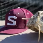 SIU Baseball series at Tennessee Tech moved to Saturday-Monday