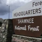 Additional Shawnee National Forest acreage could be designated as wilderness