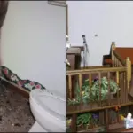 Two indicted for church vandalism