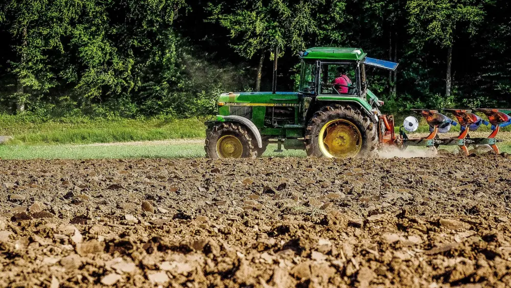 16254496661_3f9520afba_o-jpg-17