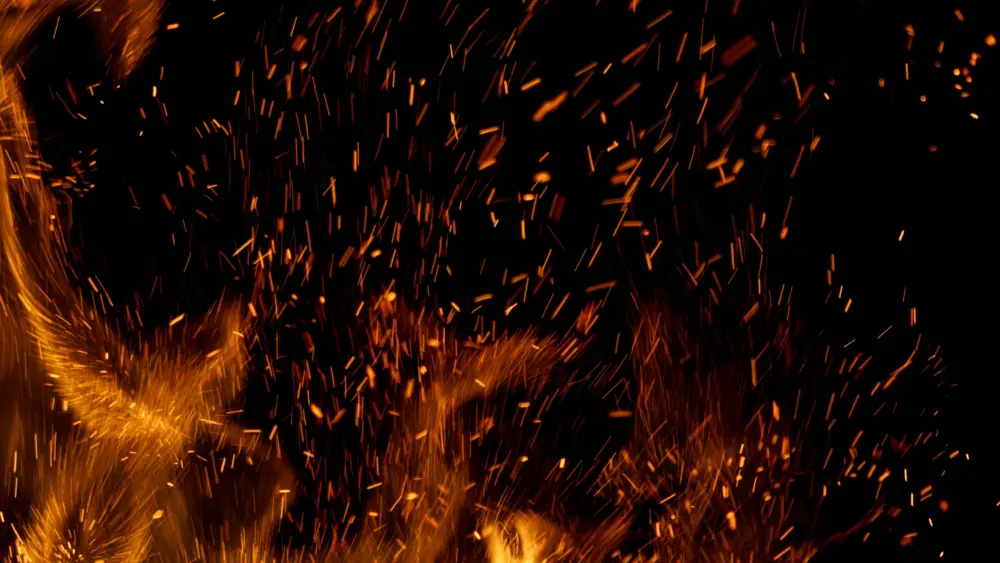 shutterstock_2544176069-1