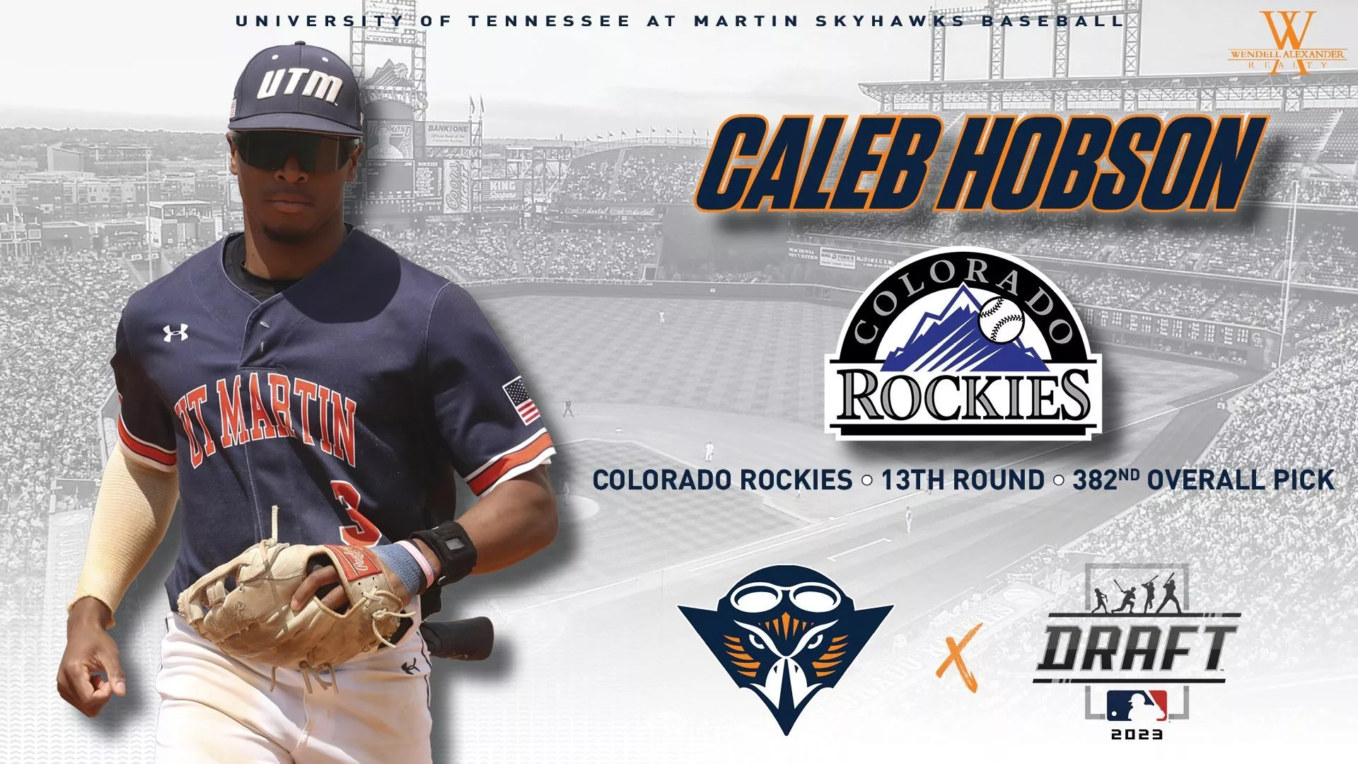 hobson_mlb_draft_graphic