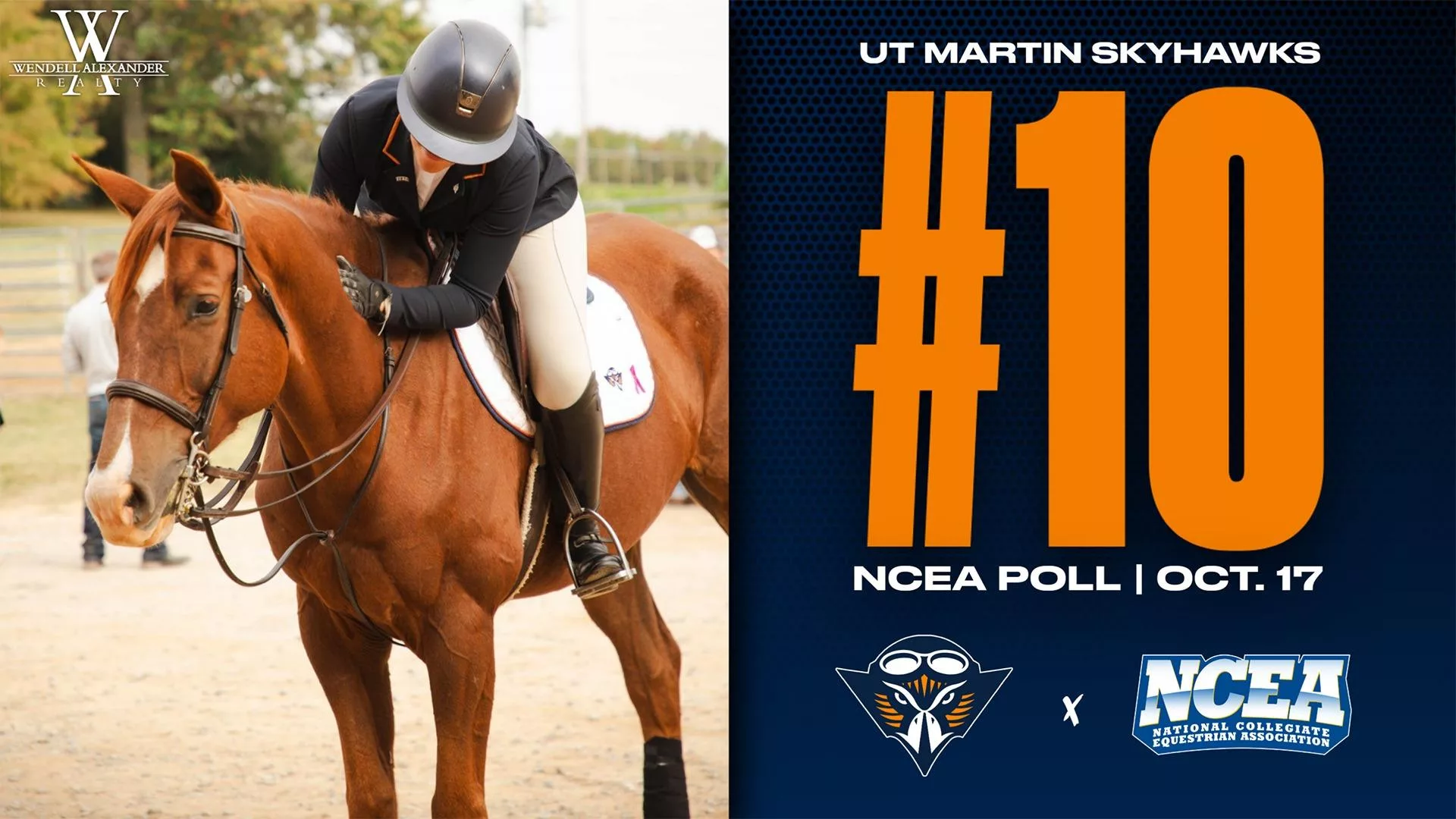 ncea_ranked_1017