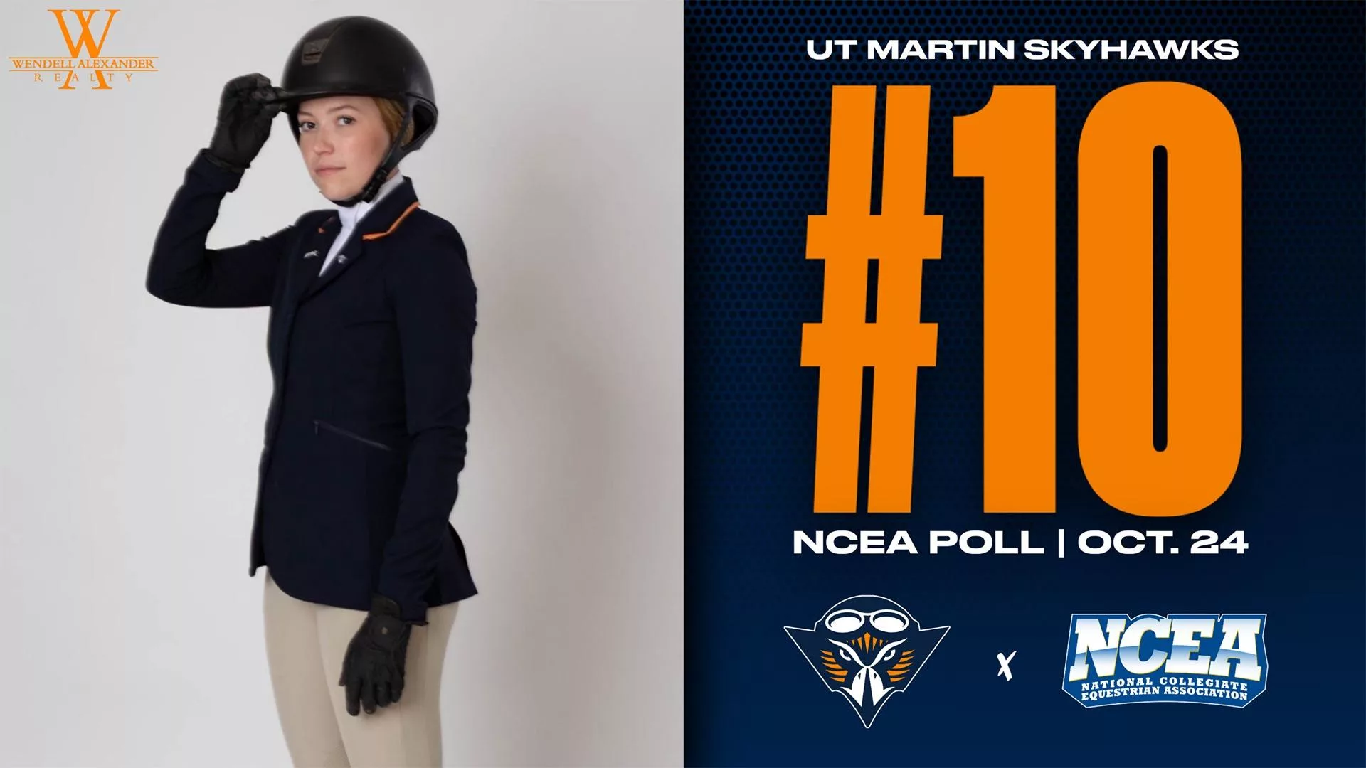ncea_ranked_1024