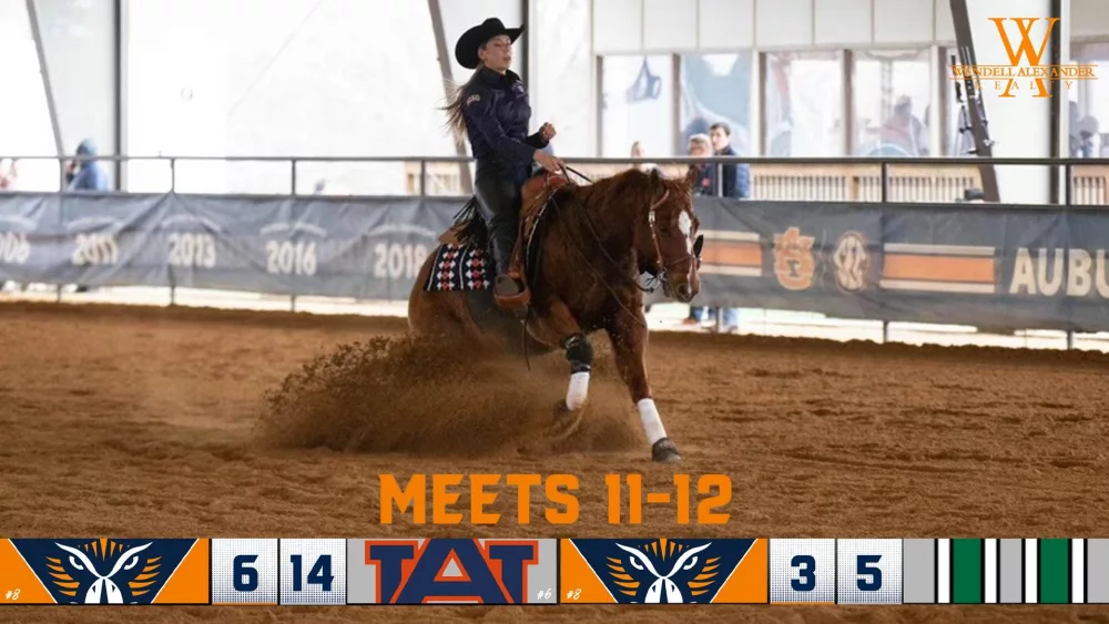 auburn-dartmouth_recap