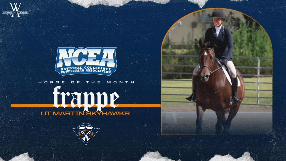 ncea_horse_of_the_month_frappe