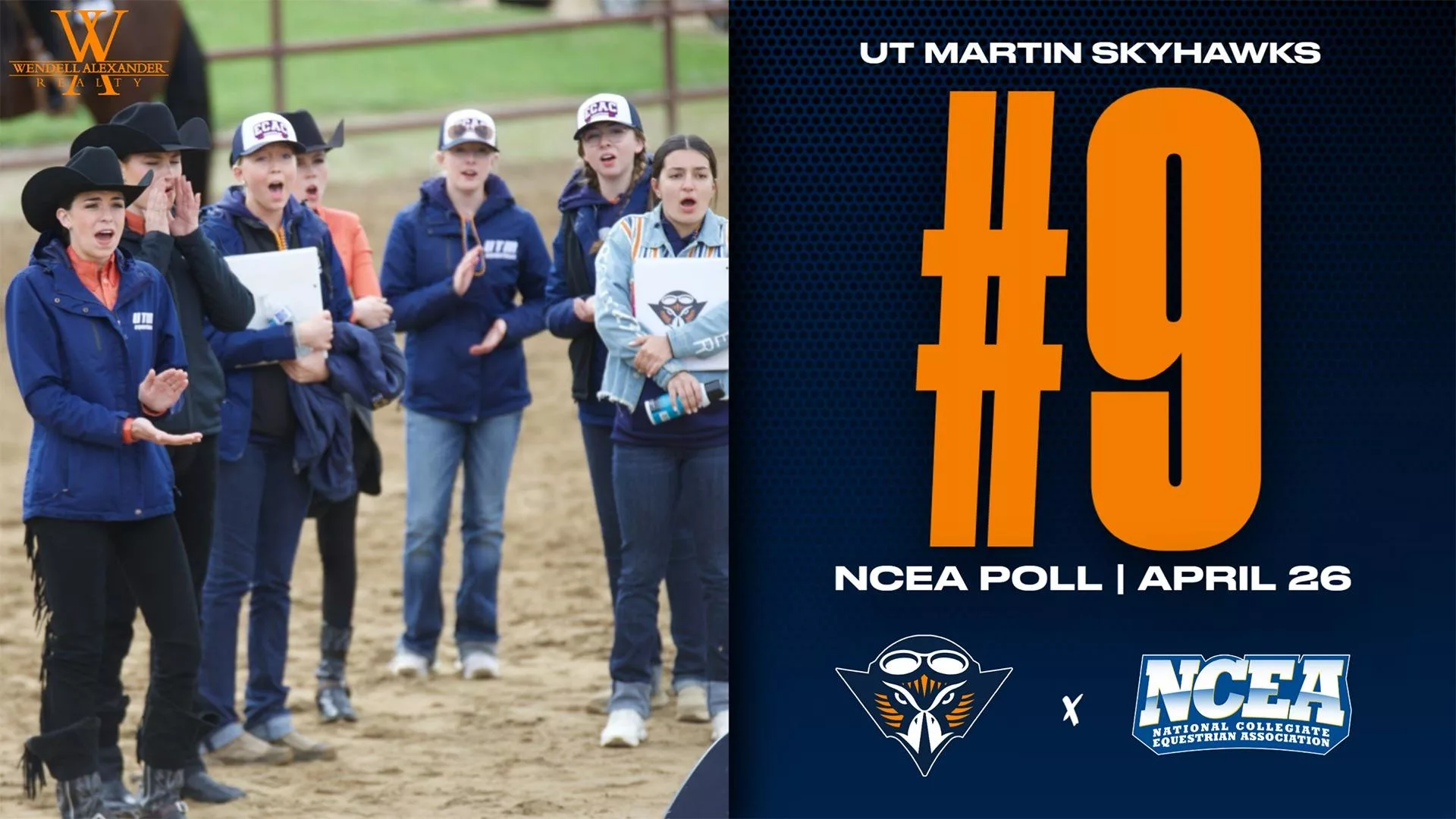 ncea_ranked_426