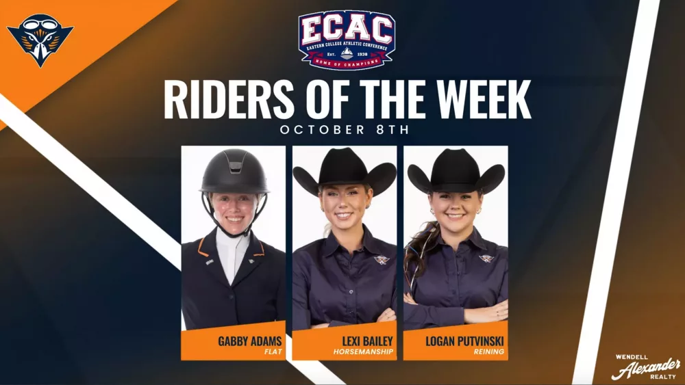 screen-shot-2024-10-08-at-1-59-07-pm