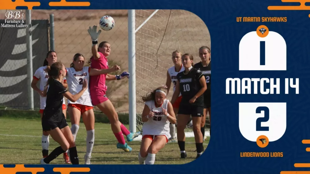 screen-shot-2024-10-14-at-11-08-44-am