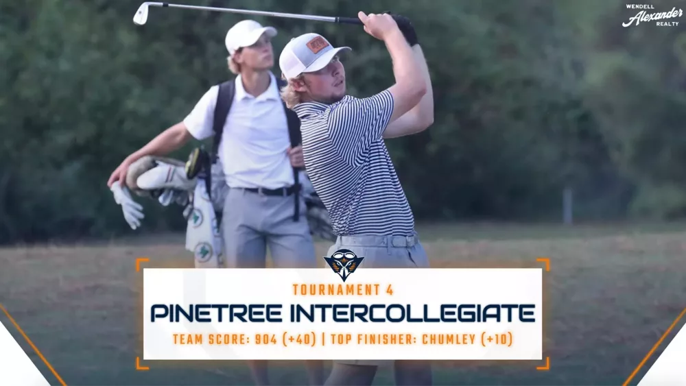 screen-shot-2024-10-16-at-10-03-38-am