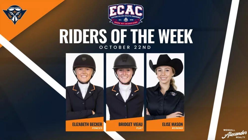 screen-shot-2024-10-22-at-3-35-03-pm