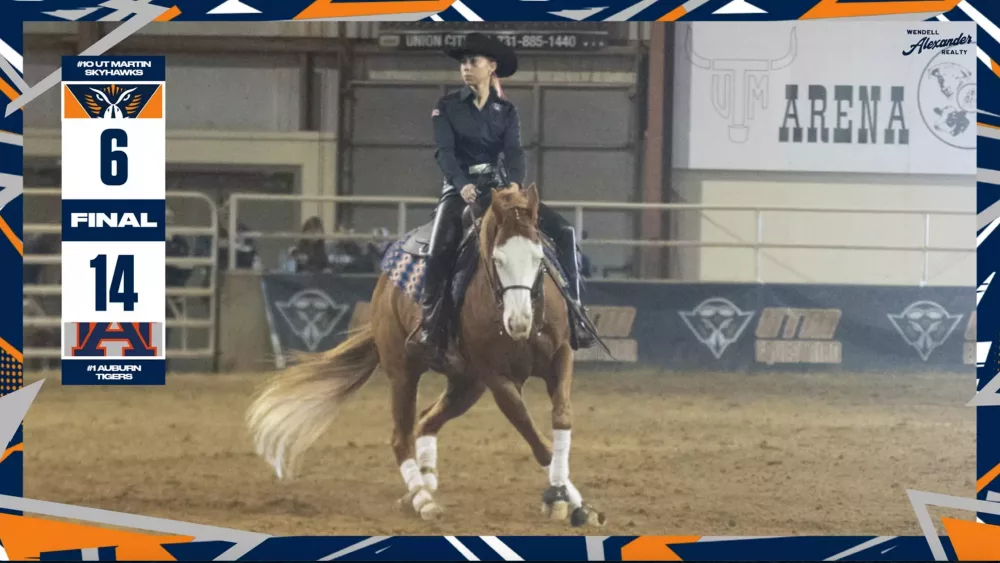 screen-shot-2024-10-28-at-10-32-52-am