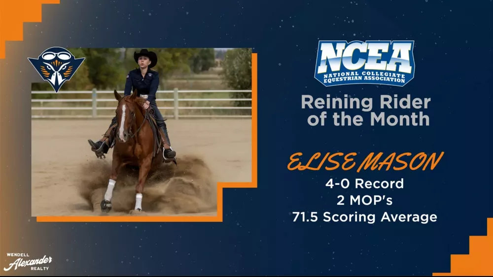 screen-shot-2024-11-07-at-9-44-57-am