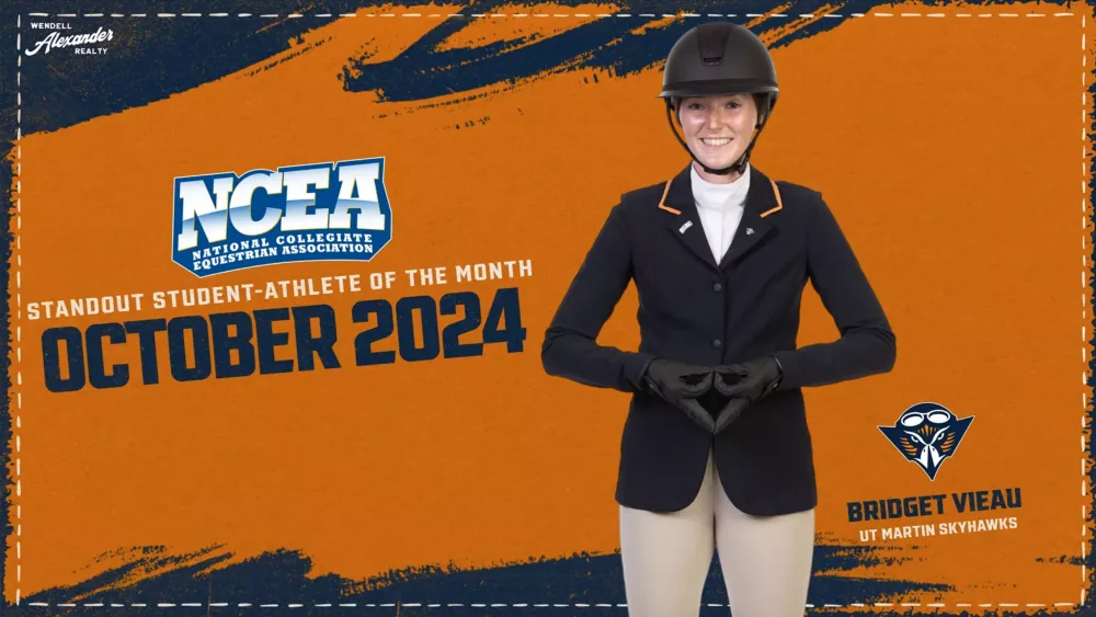 screen-shot-2024-11-07-at-3-34-14-pm