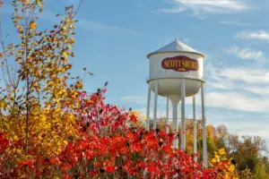 471918075_1070613815110268_8764434886195599309_n