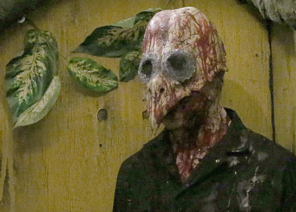 5v5udyexyzfpph47n3icff5zse970510