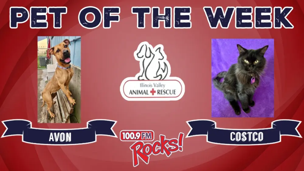 phonto-2025-10-29t061813-093