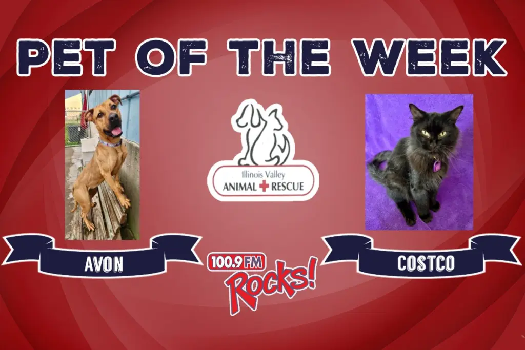 phonto-2025-10-29t061813-093