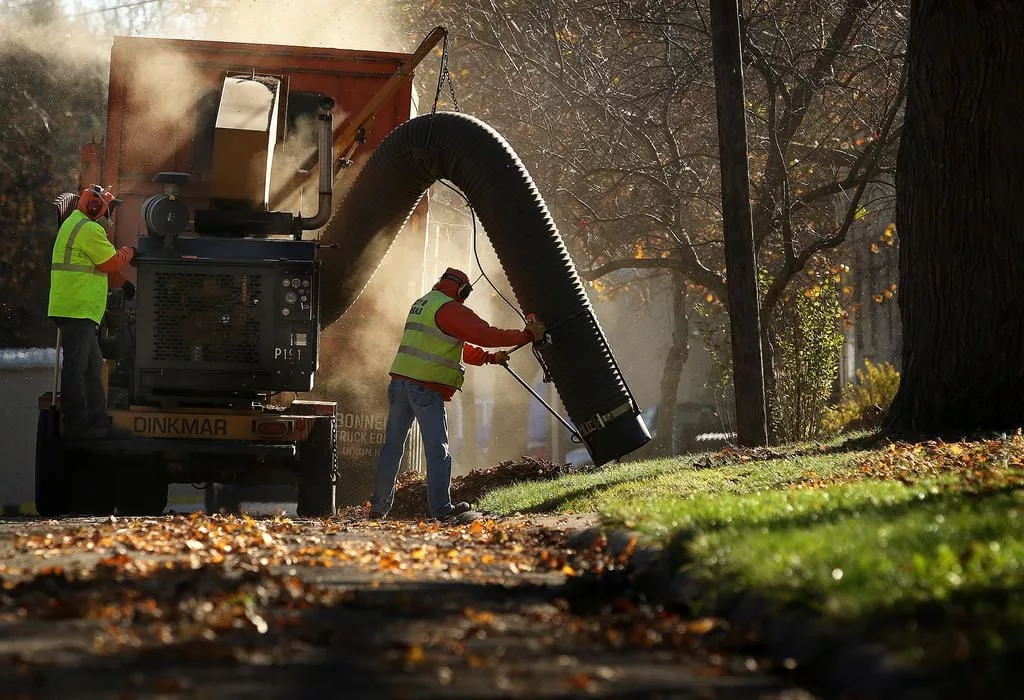 fivyeid4kdbahxcjpszc2wdlby955446