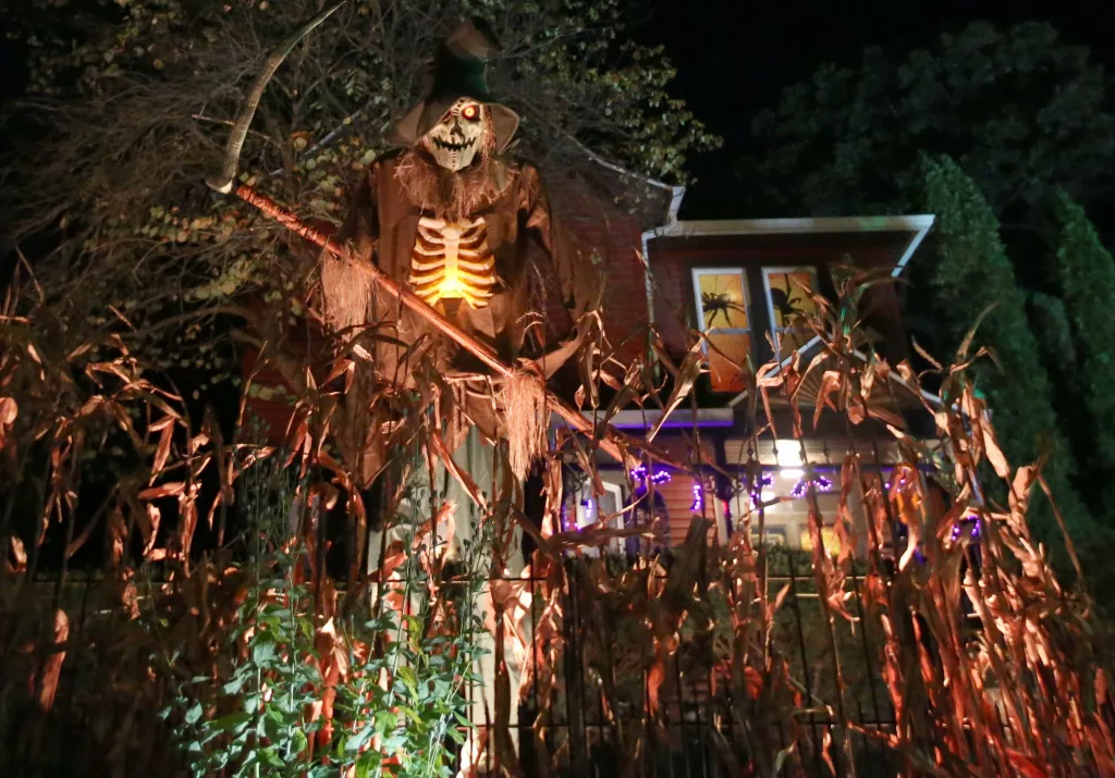 wwypubvhazc2bfd7itg3oge344863098