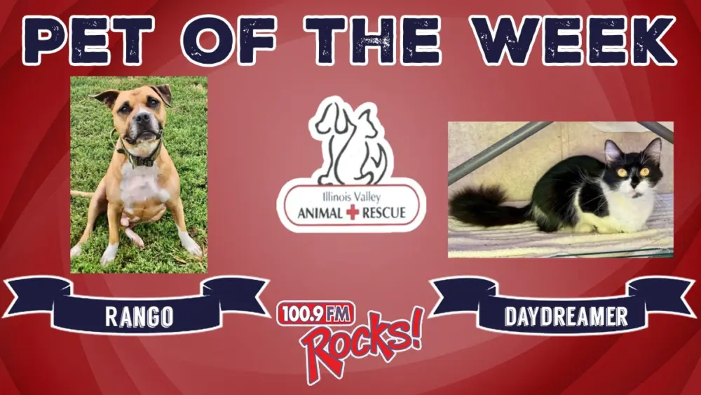 phonto-2025-11-10t072731-548