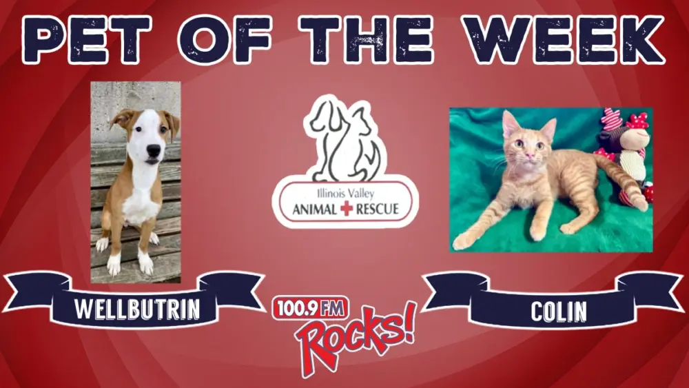 phonto-2025-11-24t065957-293