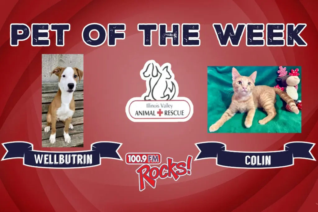 phonto-2025-11-24t065957-293