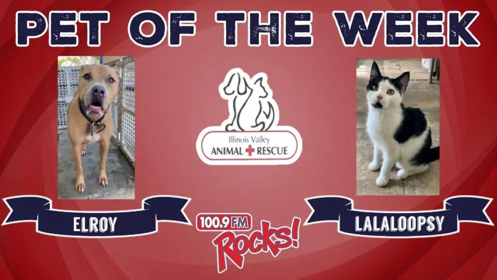 phonto-2025-12-08t073958-463