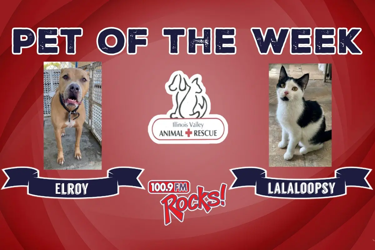 phonto-2025-12-08t073958-463