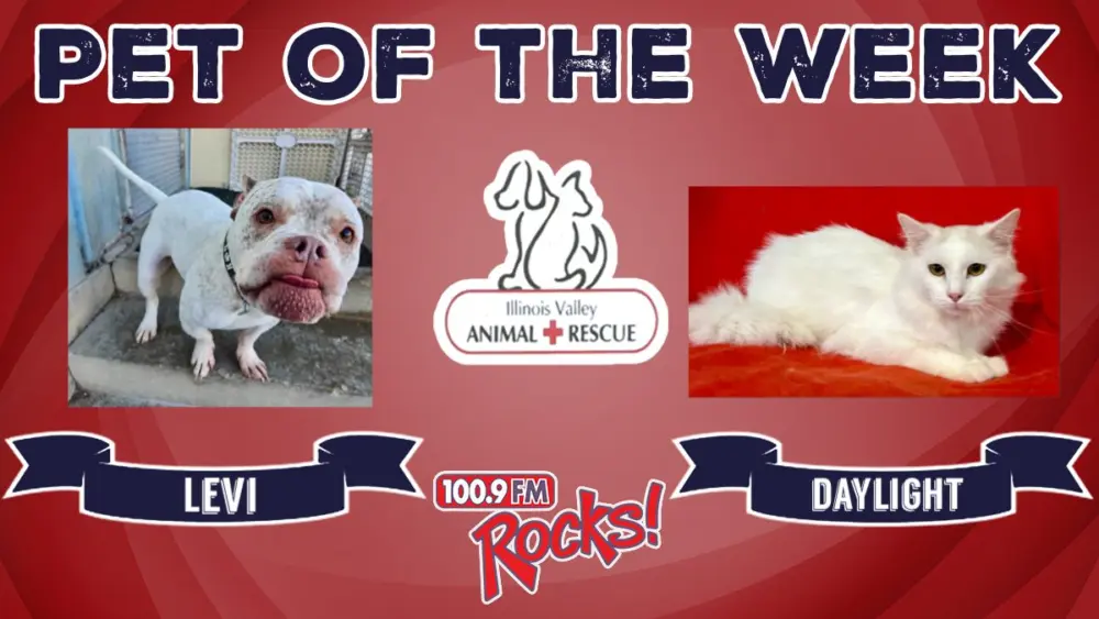 phonto-2025-12-15t073609-405