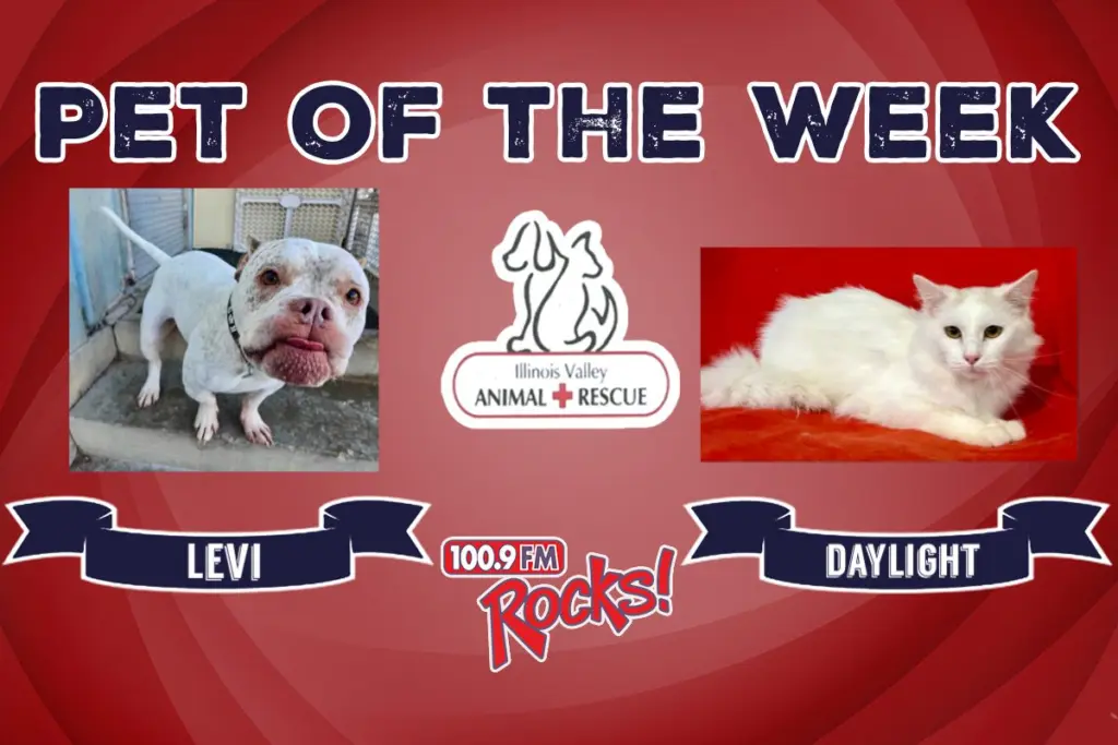 phonto-2025-12-15t073609-405