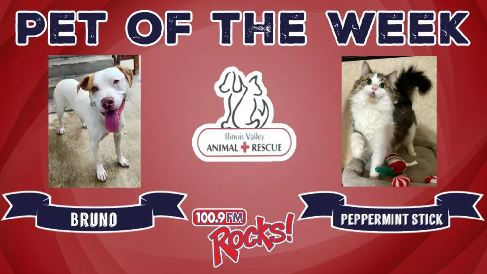 phonto-2025-12-29t055105-109