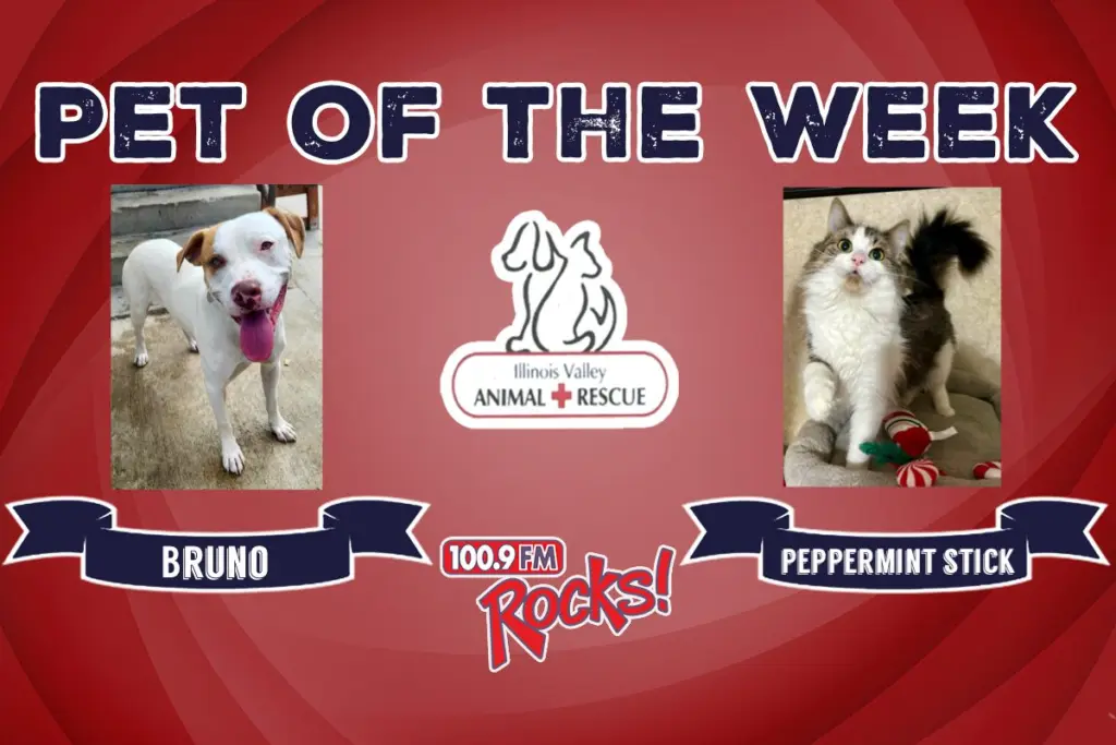 phonto-2025-12-29t055105-109