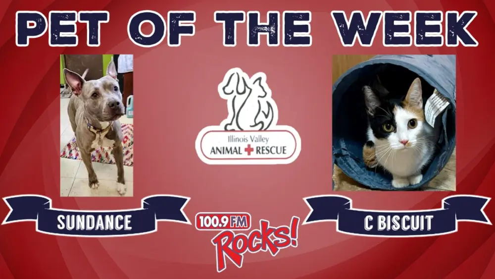 phonto-2026-01-12t062207-942