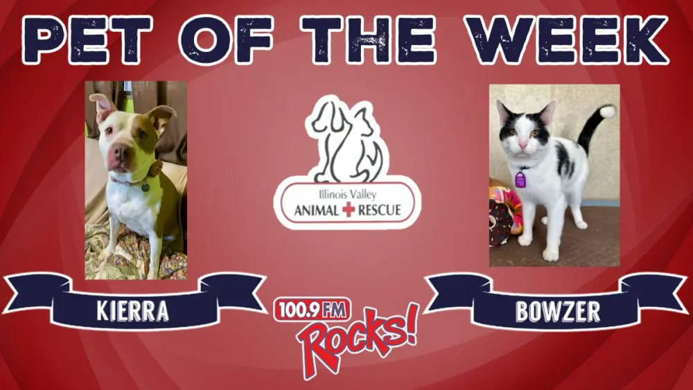 phonto-2026-02-02t074038-369