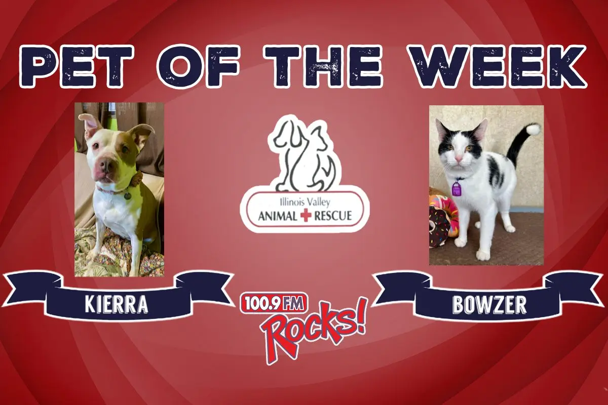 phonto-2026-02-02t074038-369