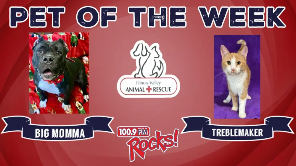 phonto-2026-02-17t063537-140