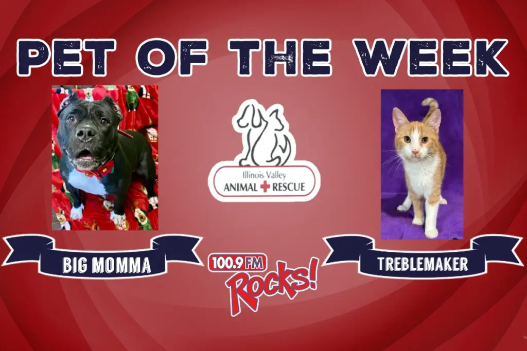 phonto-2026-02-17t063537-140