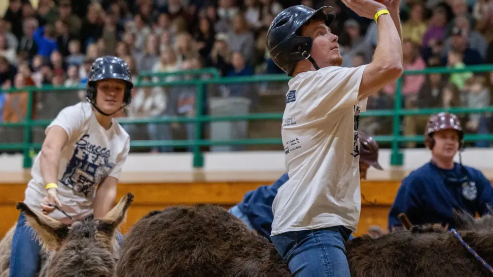 oqcnskdt7raexk65qyu34kgdmy-2