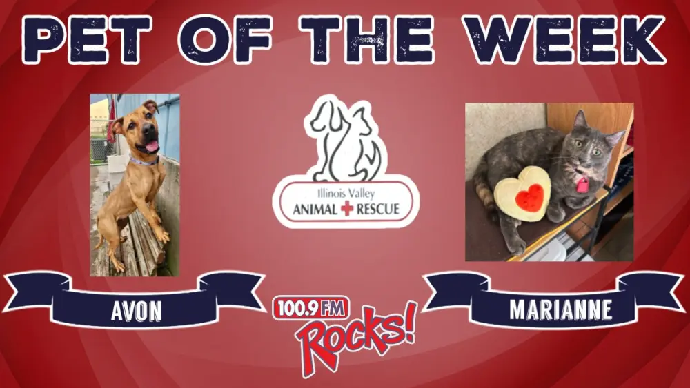 phonto-2026-03-02t062932-879