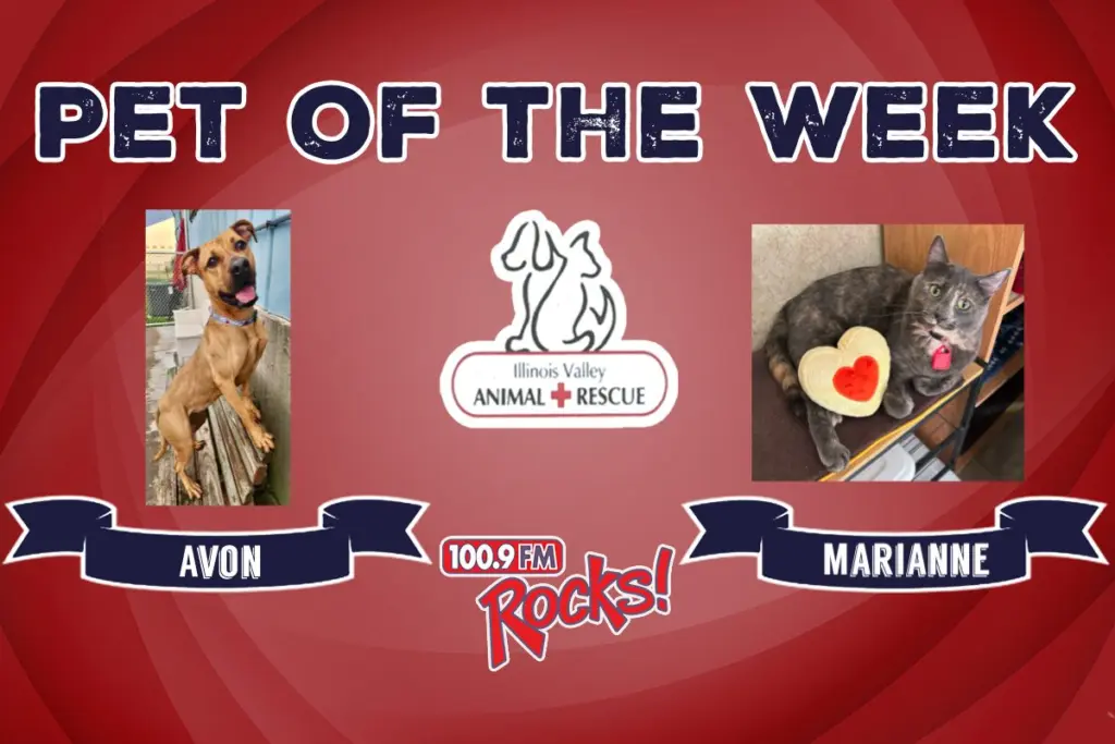 phonto-2026-03-02t062932-879